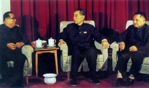 1975年4月与邓小平一起在医院会见访华的金日成