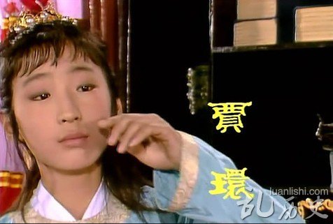 红楼梦中贾政的儿子,贾环是什么样的结局