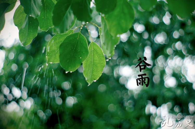 谷雨禁蝎的传说:被蝎子蛰伤了为什么不能喊“妈呀”