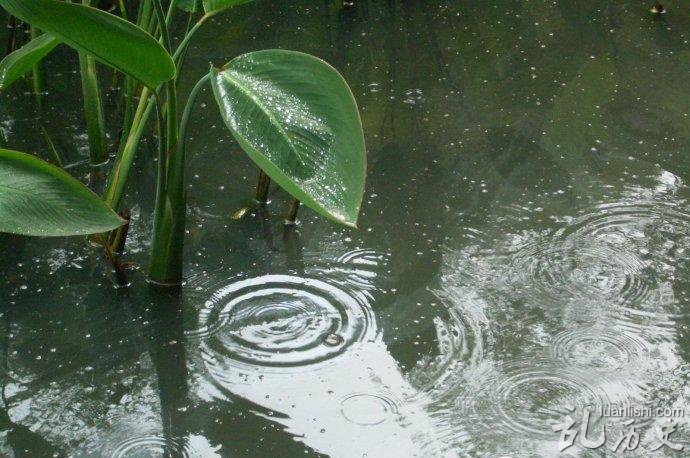 二十四节气：芒种的风俗有哪些 芒种节气简介