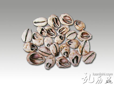贝币:海里的贝壳曾经是货币 西周燕国钱币简介