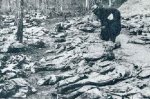 苏联为何在卡廷森林屠杀波兰两万官兵?卡廷惨案真相揭秘