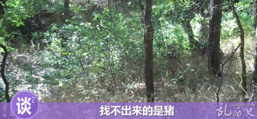 美国大兵伪装技术强到逆天!你知道美国大兵在哪吗?