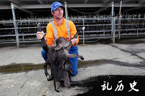 乌克兰一母狗生下人形“怪物”