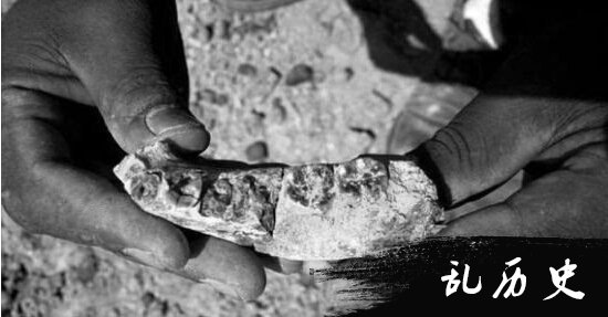 震惊！法国考古惊现56万年前人类牙齿