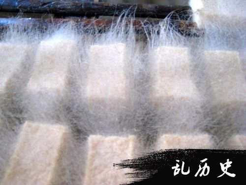 四大老外不爱吃的中国摒挡毛豆腐