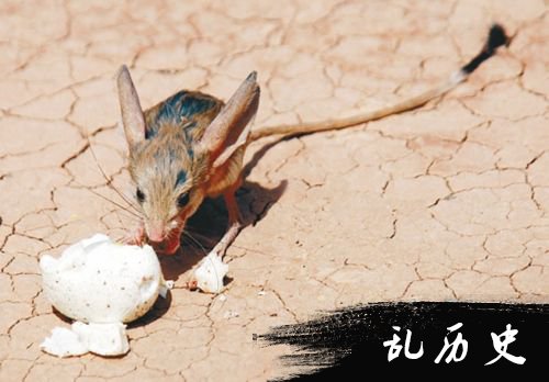 范德萨