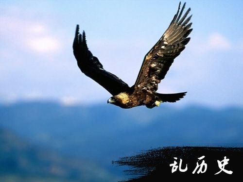 发洪流发