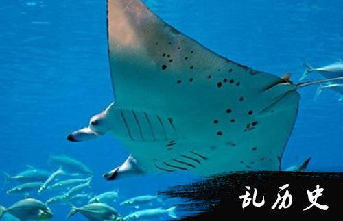 范德萨发