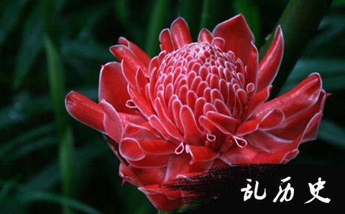鸿发大厦吧