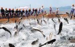 朝鲜渔业近况 世界有名的渔业大国有哪些？