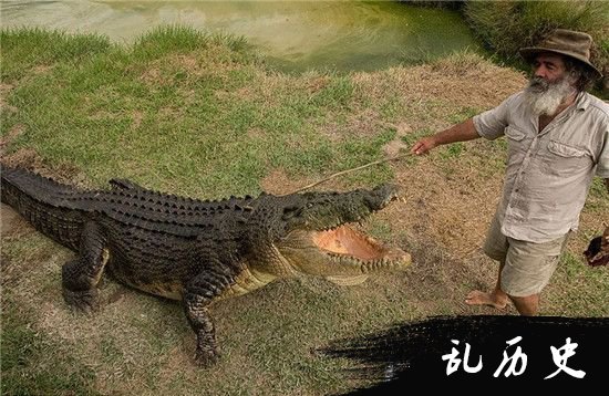 陕西镐京遗址掘客鳄鱼骨板 史前巨鳄是真的?