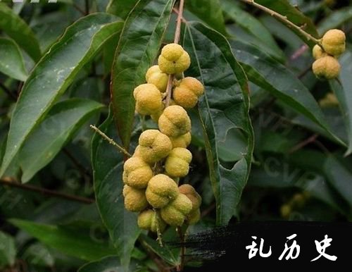 贵定师范