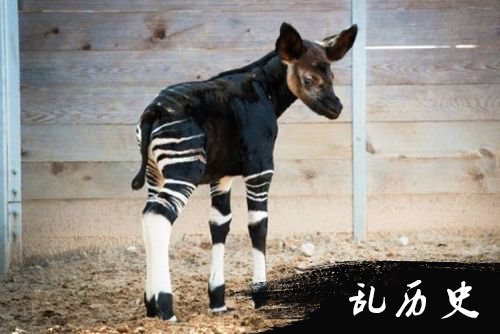 很多事