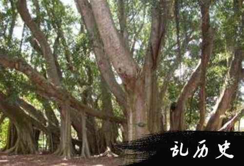 嘎嘎撒
