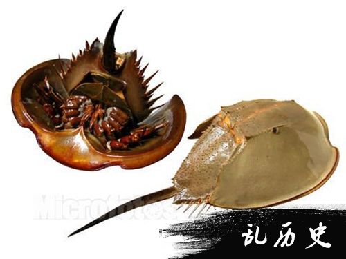 啊