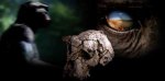 世界上最早的人种“杜马伊” 距今有700万年历史