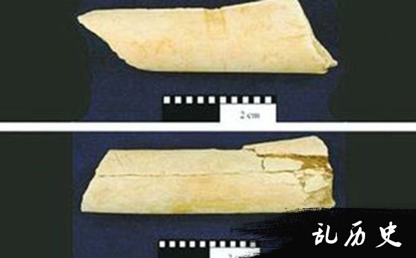 340万年前切肉刀被发现