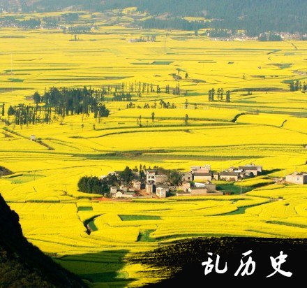 梦见梦境泄露出你的情感欲求