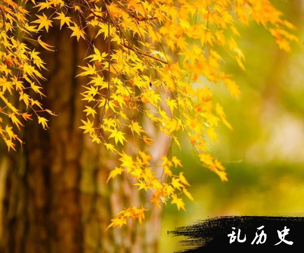 梦见龙袍