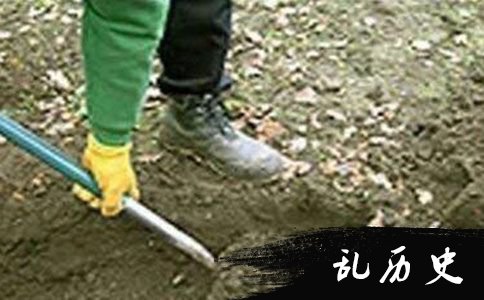 挖尸体