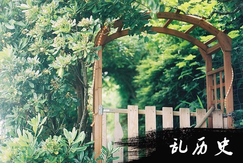 梦见深谷