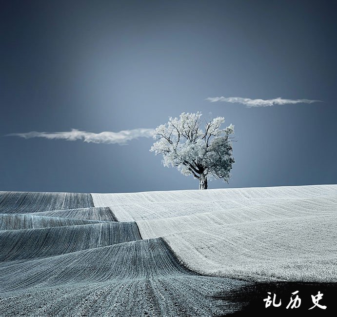 梦见神的化身