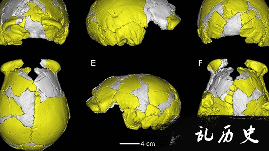 河南发现人类化石 疑似与欧洲古人类之间存在基因交流