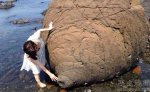 日本乳房岩石：听说摸了就会变大