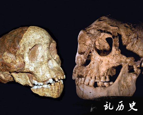 河南人类化石研究新进展：或与欧洲尼安德特人有基因联系