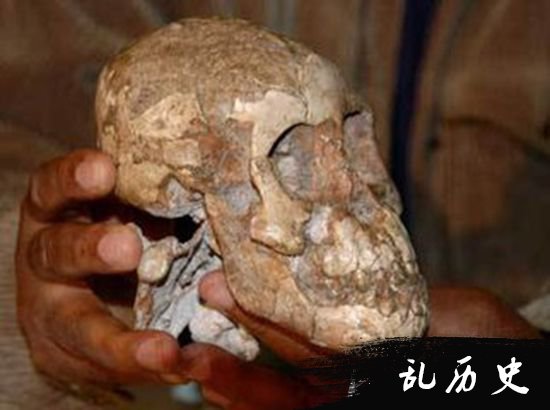 河南人类化石研究新进展：或与欧洲尼安德特人有基因联系