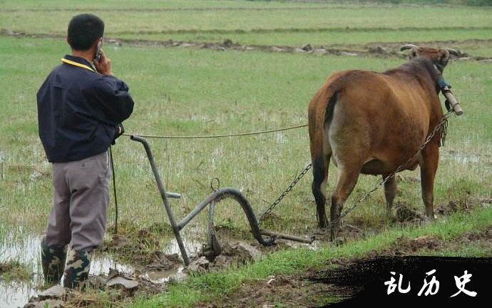 梦见已故的祖父赶着一头母牛来到院里