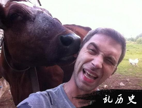 盘点人与动物的奇葩瞬间 它们真不是好惹的！