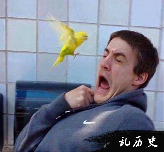 盘点人与动物的奇葩瞬间 它们真不是好惹的！