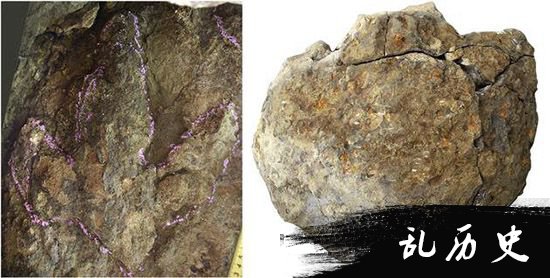 科学家们发现恐龙足迹群 或存大量化石