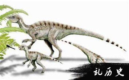 四川发现世界上最小恐龙足迹 奔跑速度似摩托