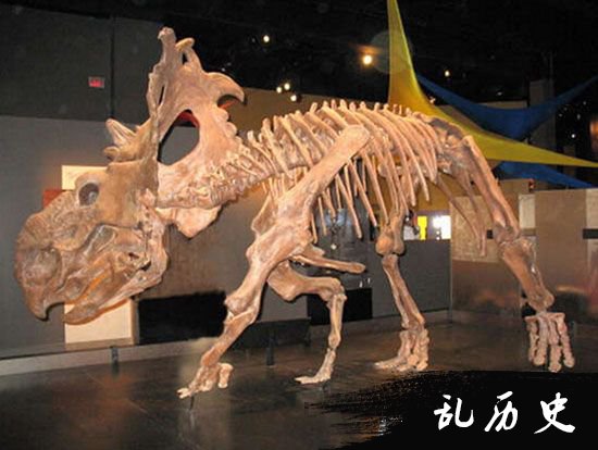 美洲大陆发现恐龙颅骨化石 体型跟兔子差不多