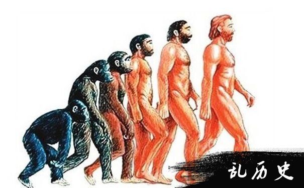 达尔文进化论图解