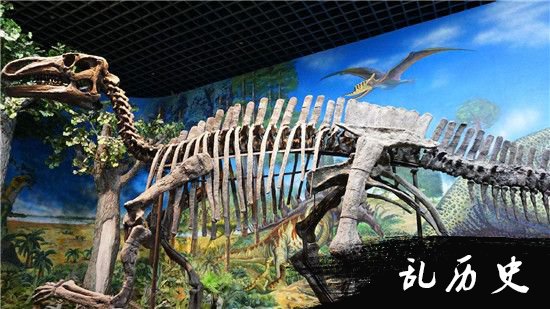 吉林延边发现大量恐龙化石 日本曾“无知”遗弃