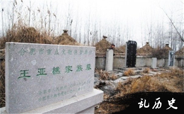 王亚樵的家族墓图片