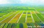 韩国农业现状 韩国的主要农业类型有哪些？