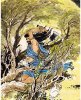 吴刚伐桂 吴刚桂花酒介绍