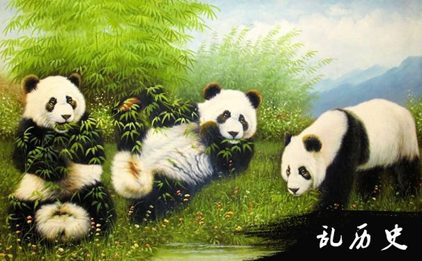 梦见三只熊猫