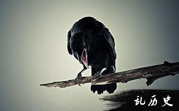 梦见打死乌鸦
