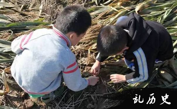 梦见捉虫子