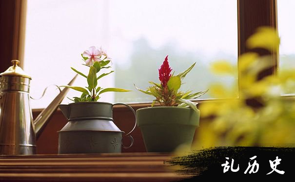 卧室摆放花朵风水问题