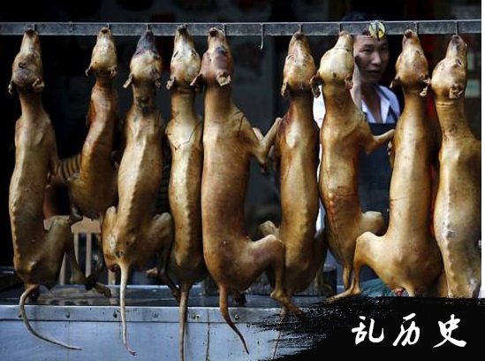 组图：广西玉林狗肉节图片大全
