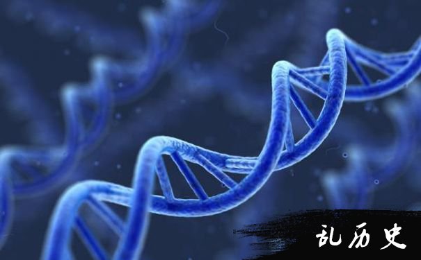 变异的DNA