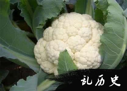 花椰菜图片