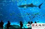 世界上最大的水族馆实在是太美了